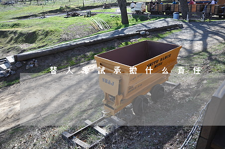 替人考試承擔什么責任？